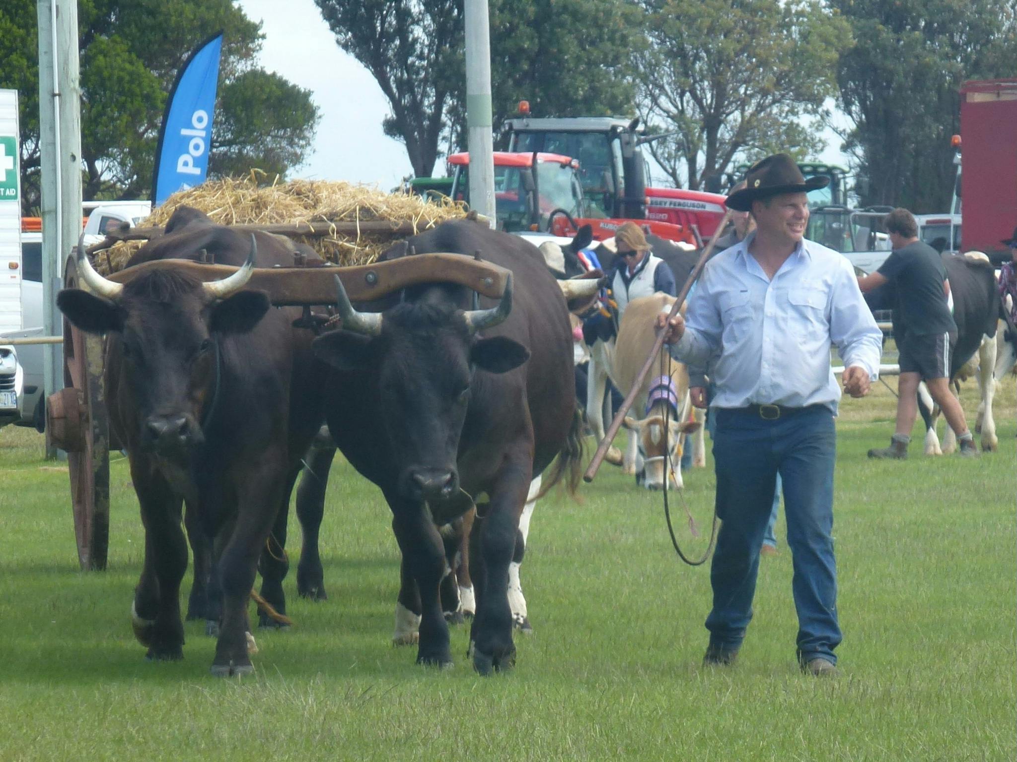 Circular Head Agricultural Show