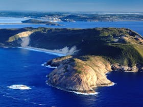 Bald Head Walking Track