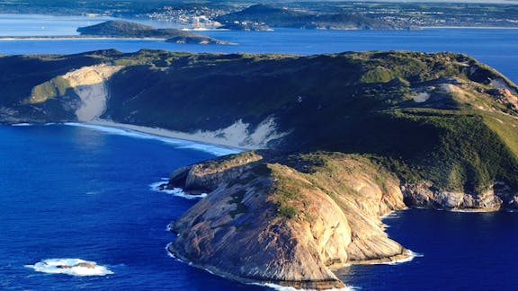 Bald Head Walking Track