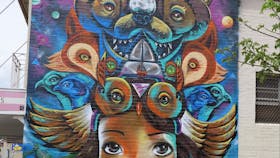 Street Art Toowoomba