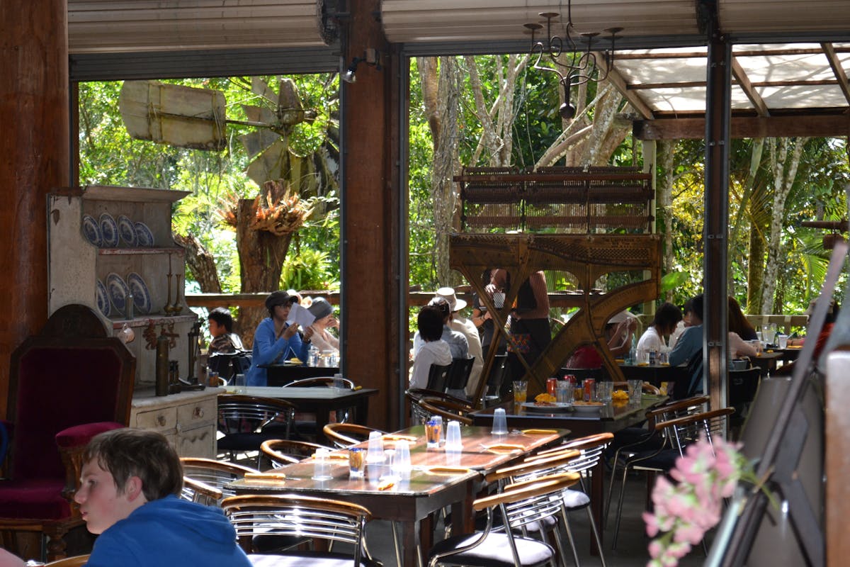 Looking through the restaurant with the piano frame and the tropical forest behind.