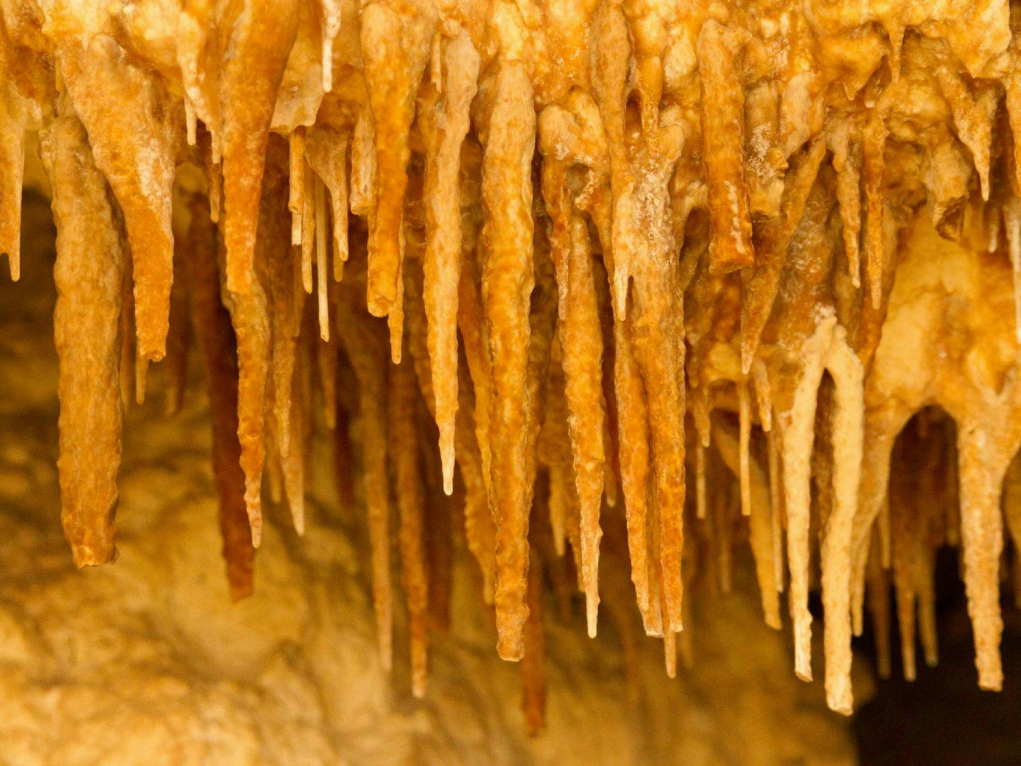 Kelly Hill Caves