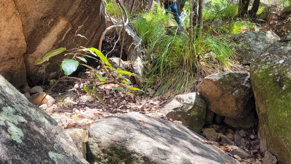 Alligator Falls Track, Bowling Green Bay National Park