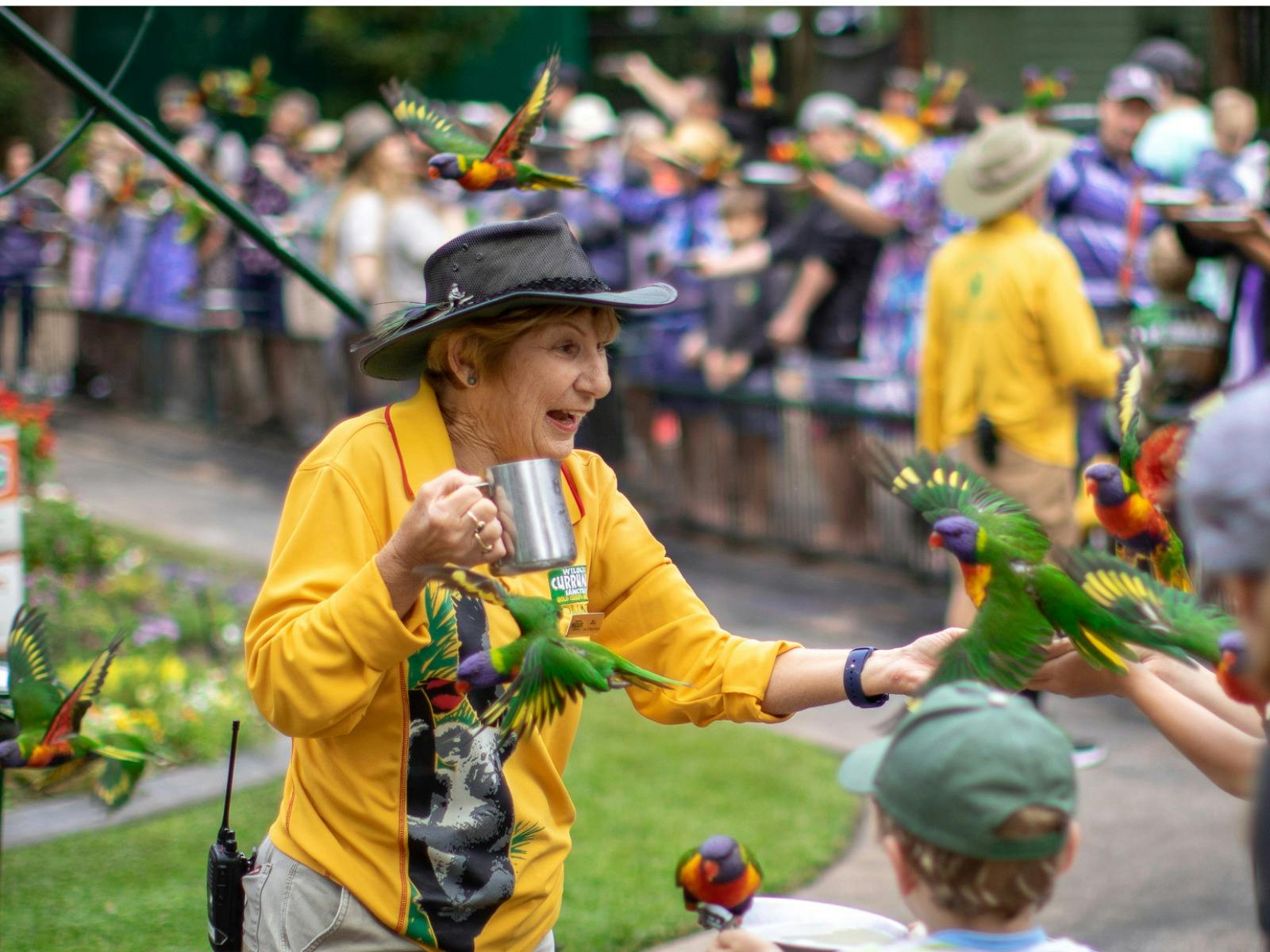 Bird Week at Currumbin Wildlife Sanctuary