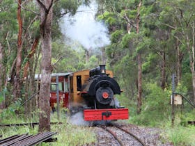 Mothers Day Train at the Illawarra Light Railway Museum Cover Image