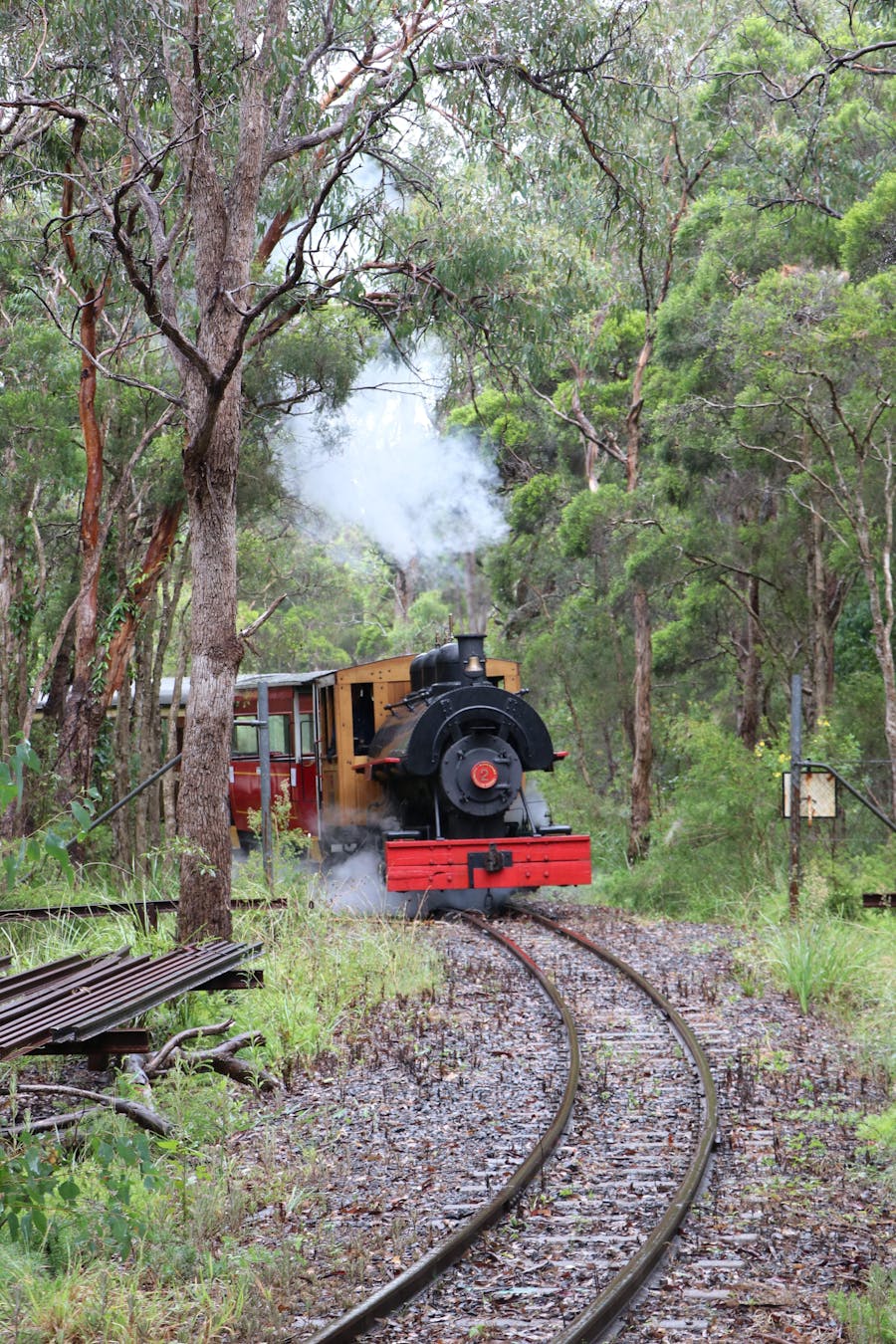 Mothers Day Express at The Illawarra Train Museum