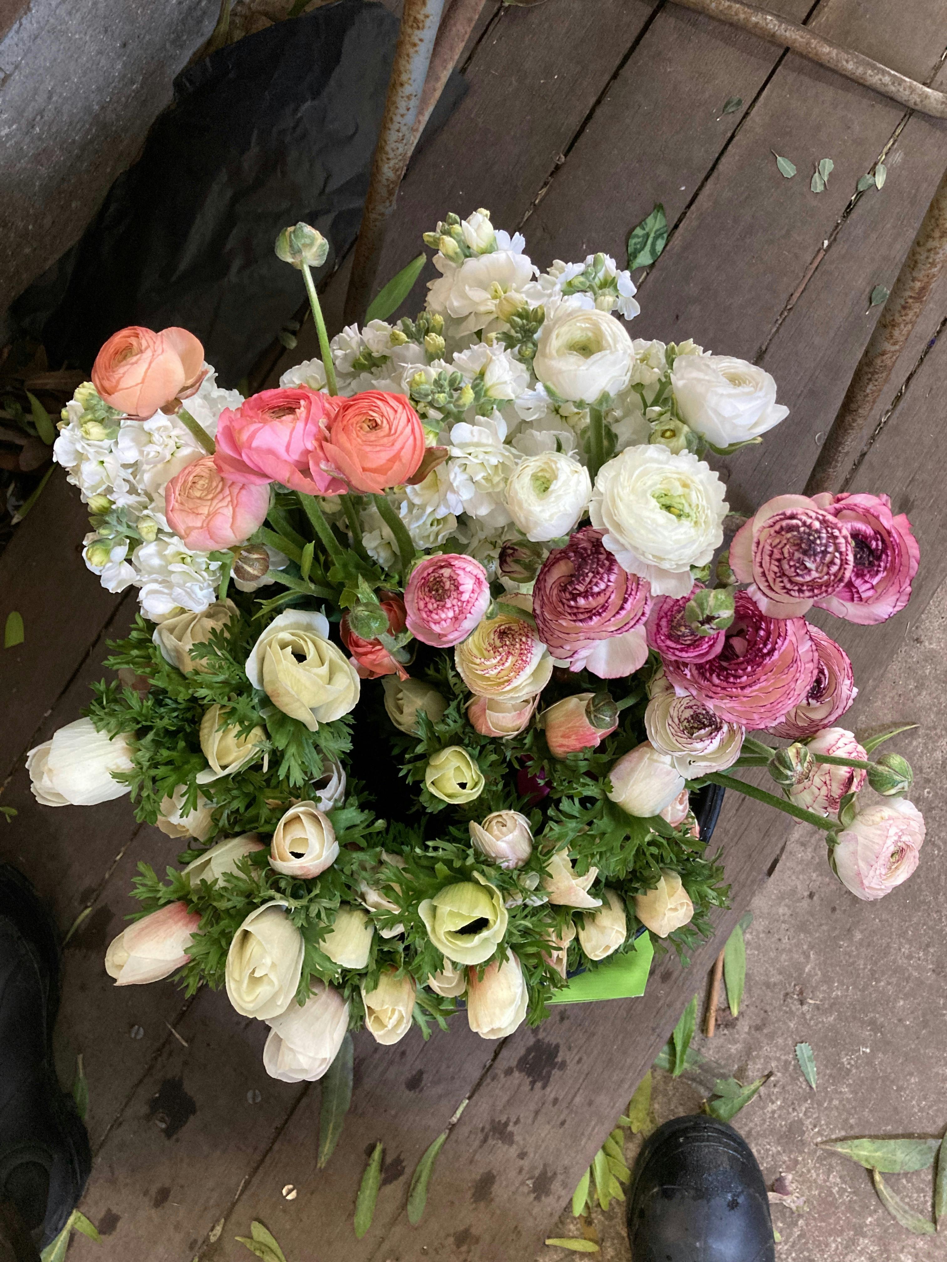 Anemones, Ranunculi and stock