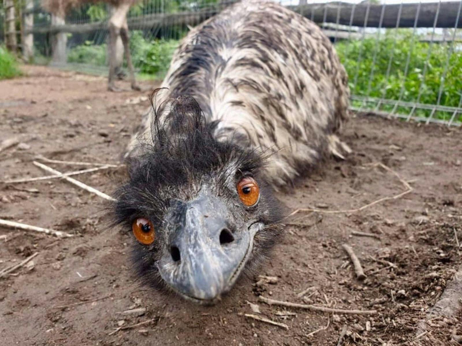 Meet & Feed the birdlife