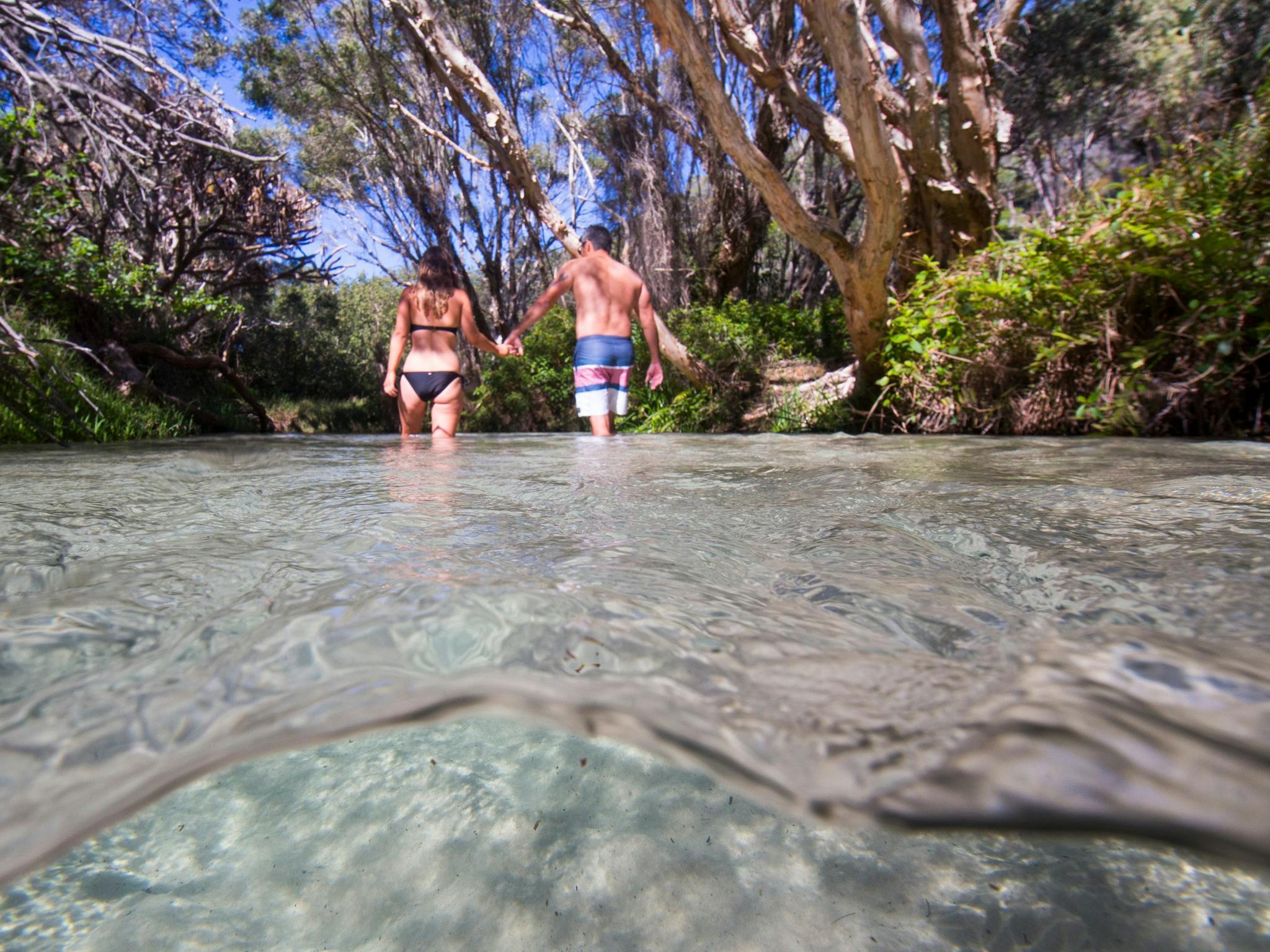 Eli Creek, Fraser Island, Fraser Coast.