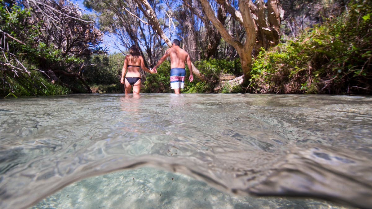 Eli Creek, Fraser Island, Fraser Coast.