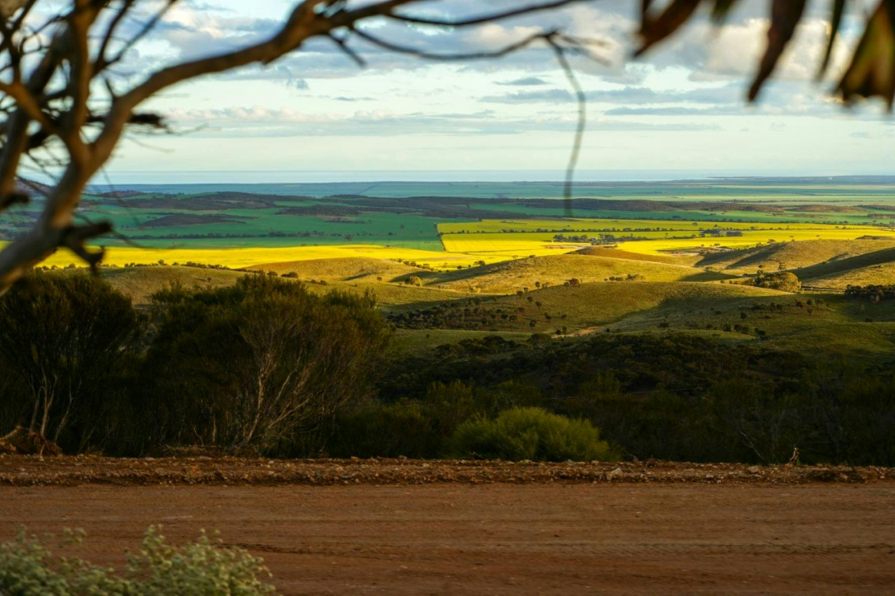 scenic view