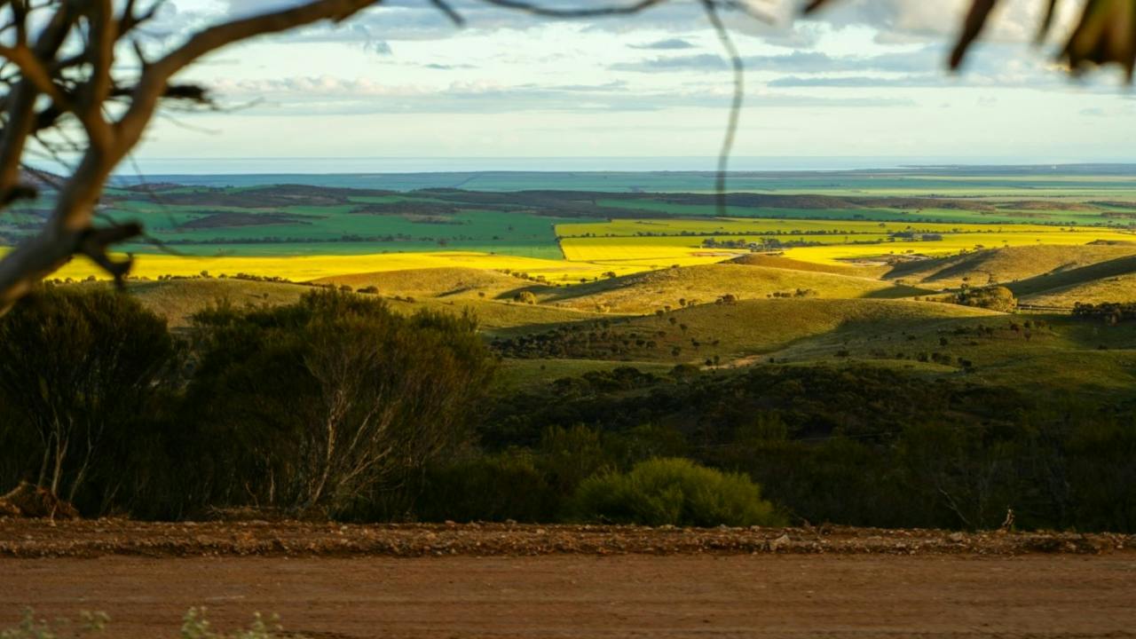 Scenic View