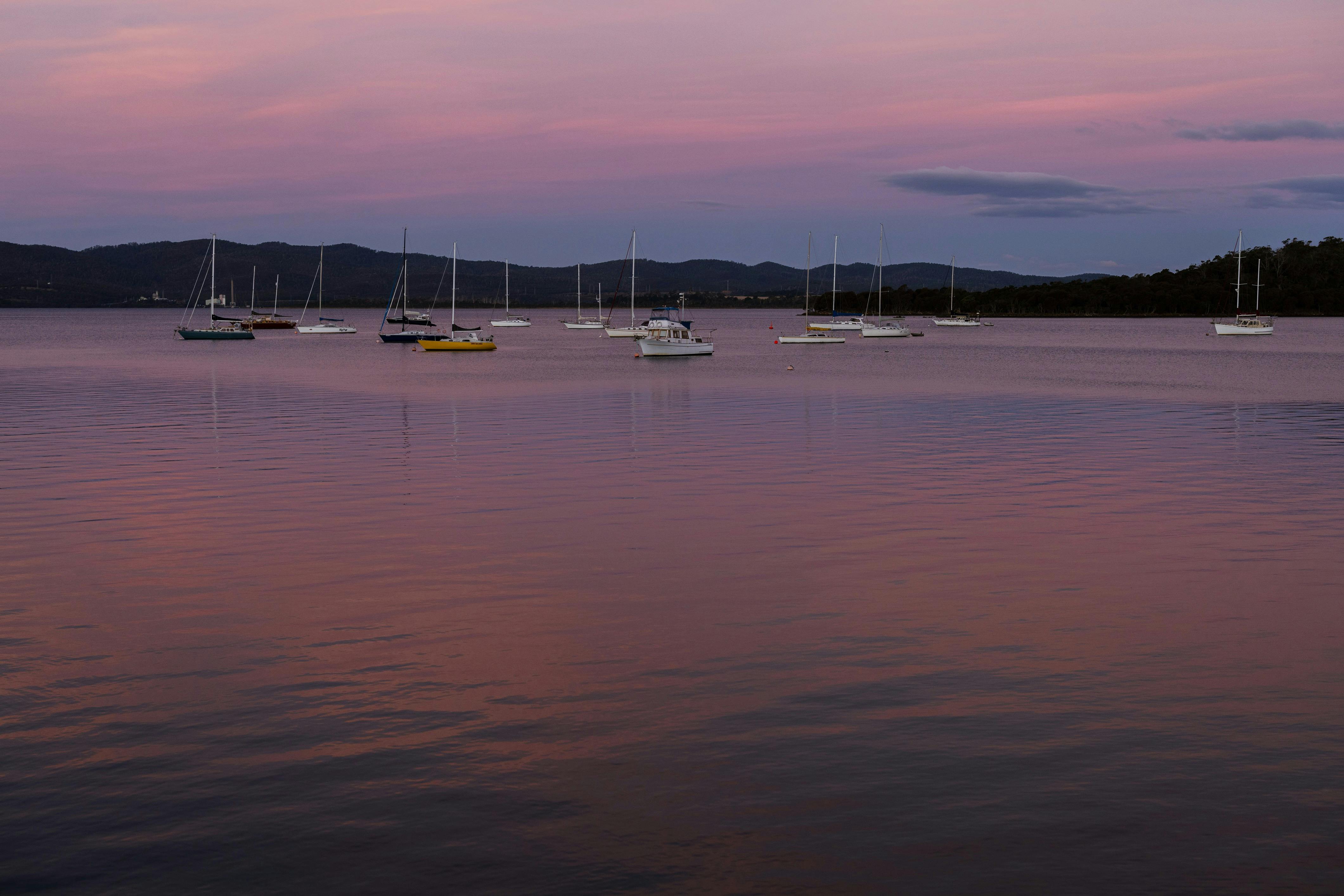 Views from Foreshore Walking Path