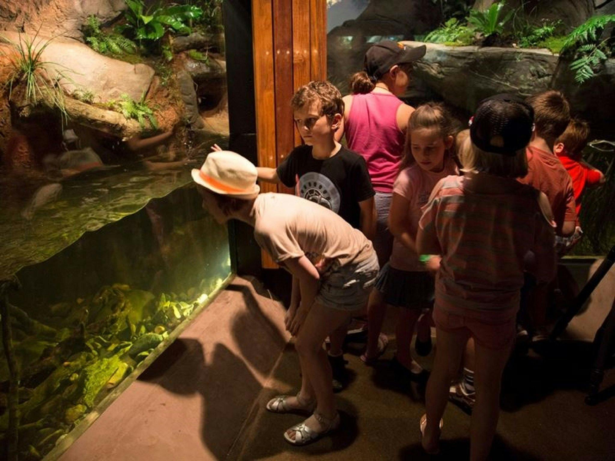 Walkabout Creek Discovery Centre
