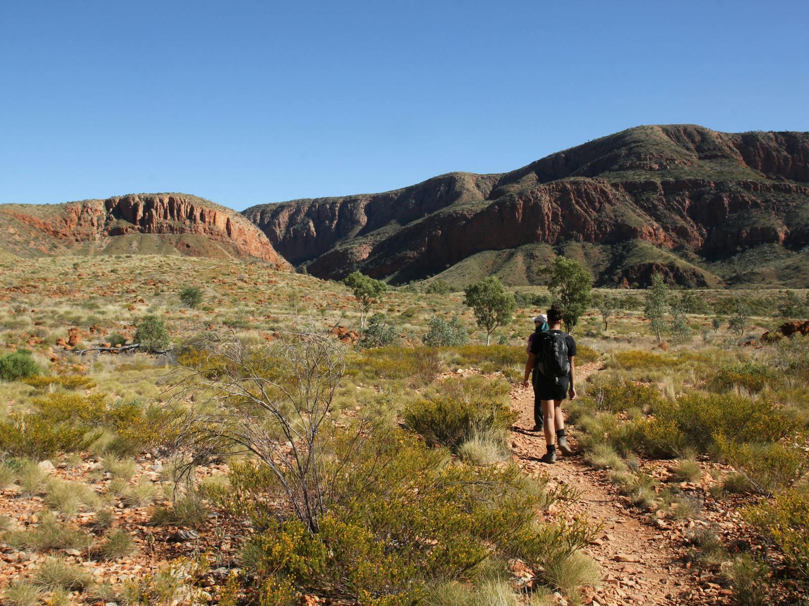 Walking towards Ormiston Gorge