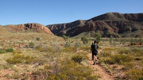 Walking towards Ormiston Gorge