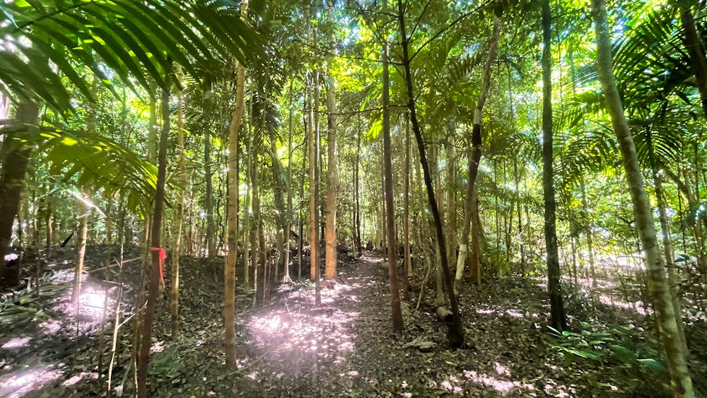North Queensland Island Charters