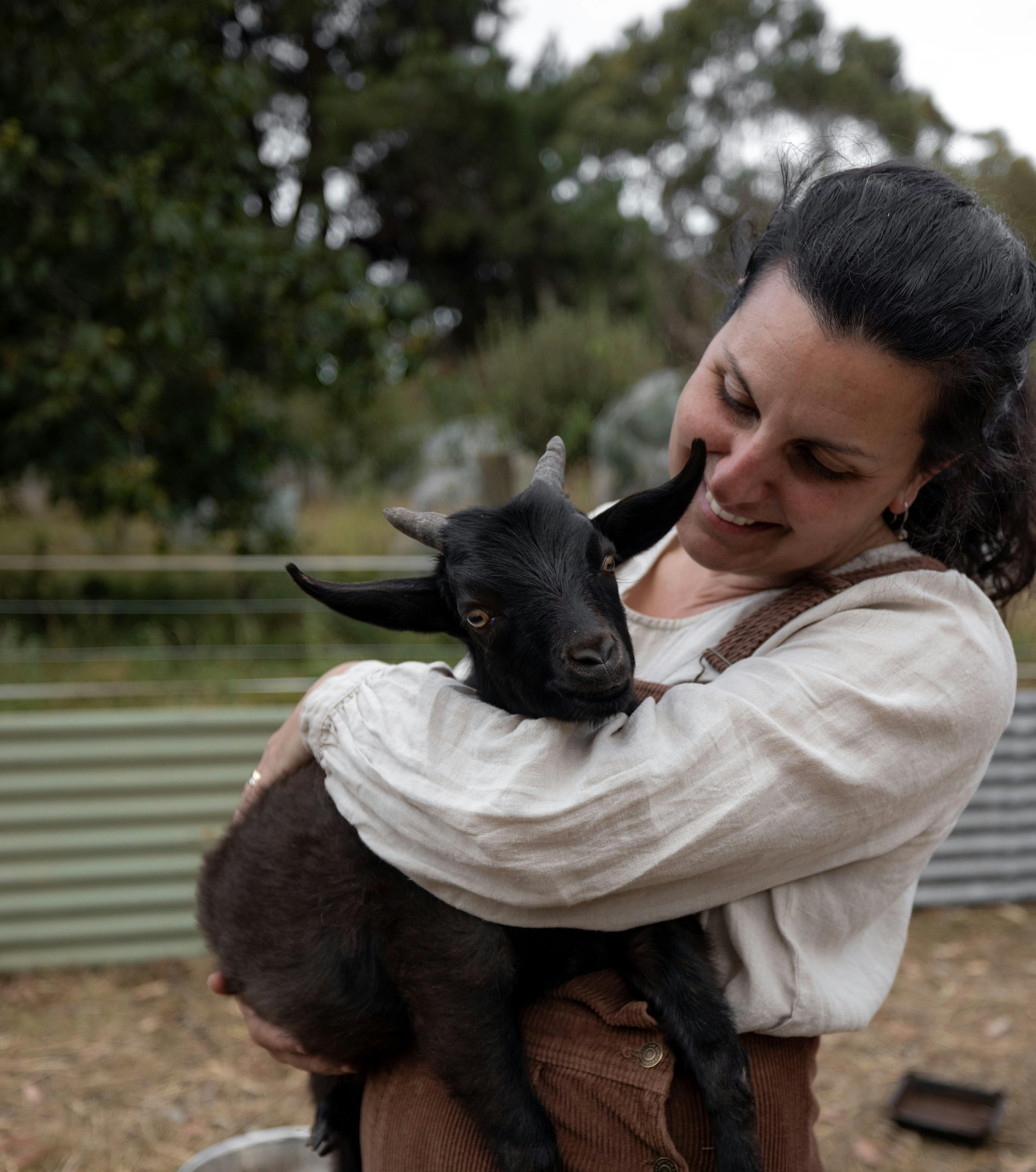 Person hugging a mini goat