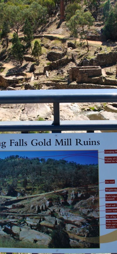One of the interpretive signs throughout the Adelong Falls Gold Mill Ruins