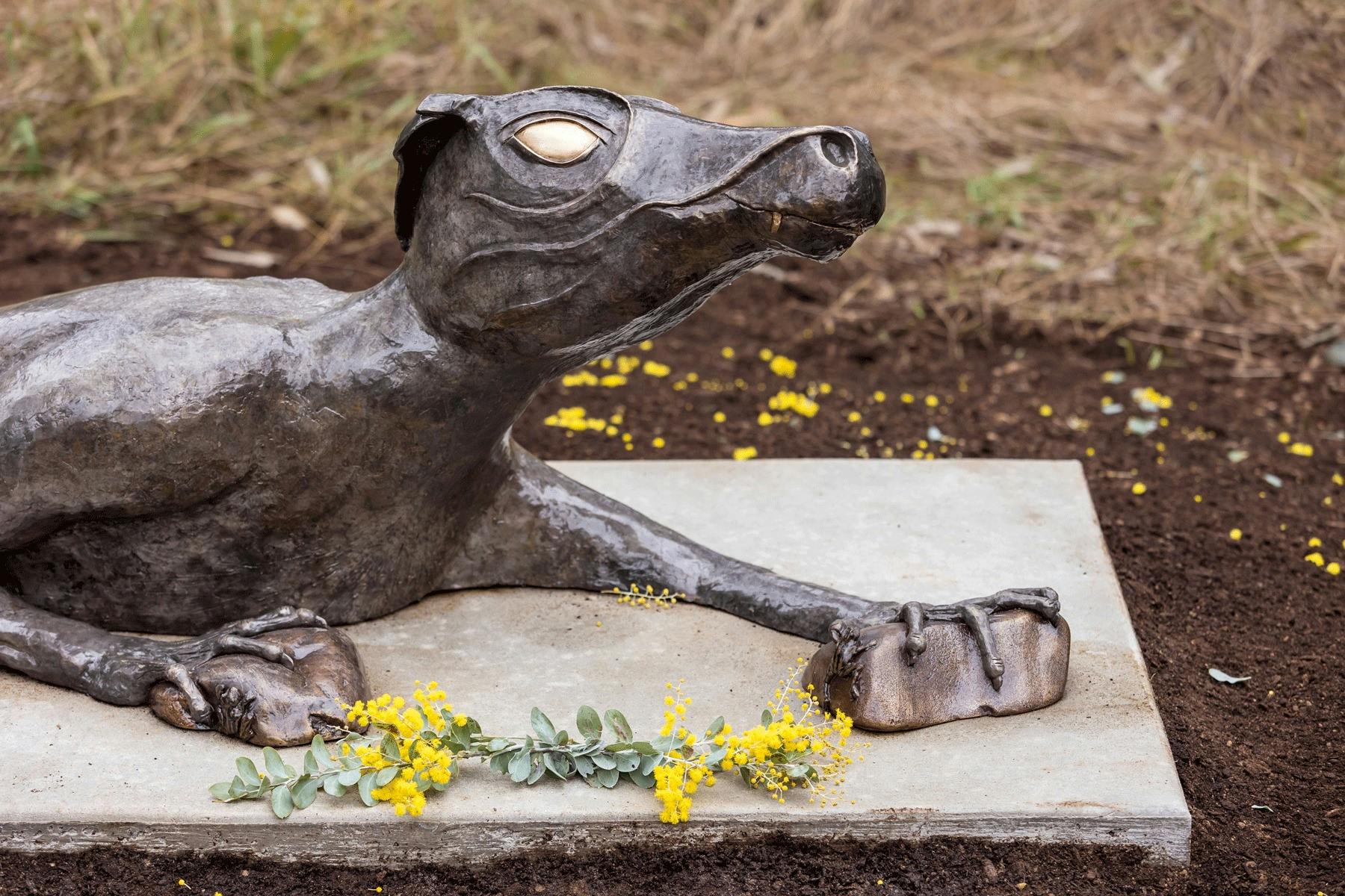 帕特里夏·塞爾米納拉 (Patricia Cerminara) 的《Bunyip》