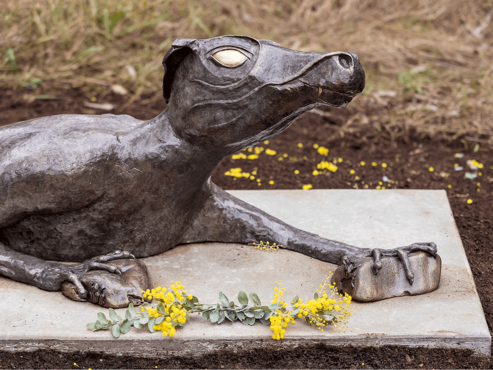 The Bunyip by Patricia Cerminara