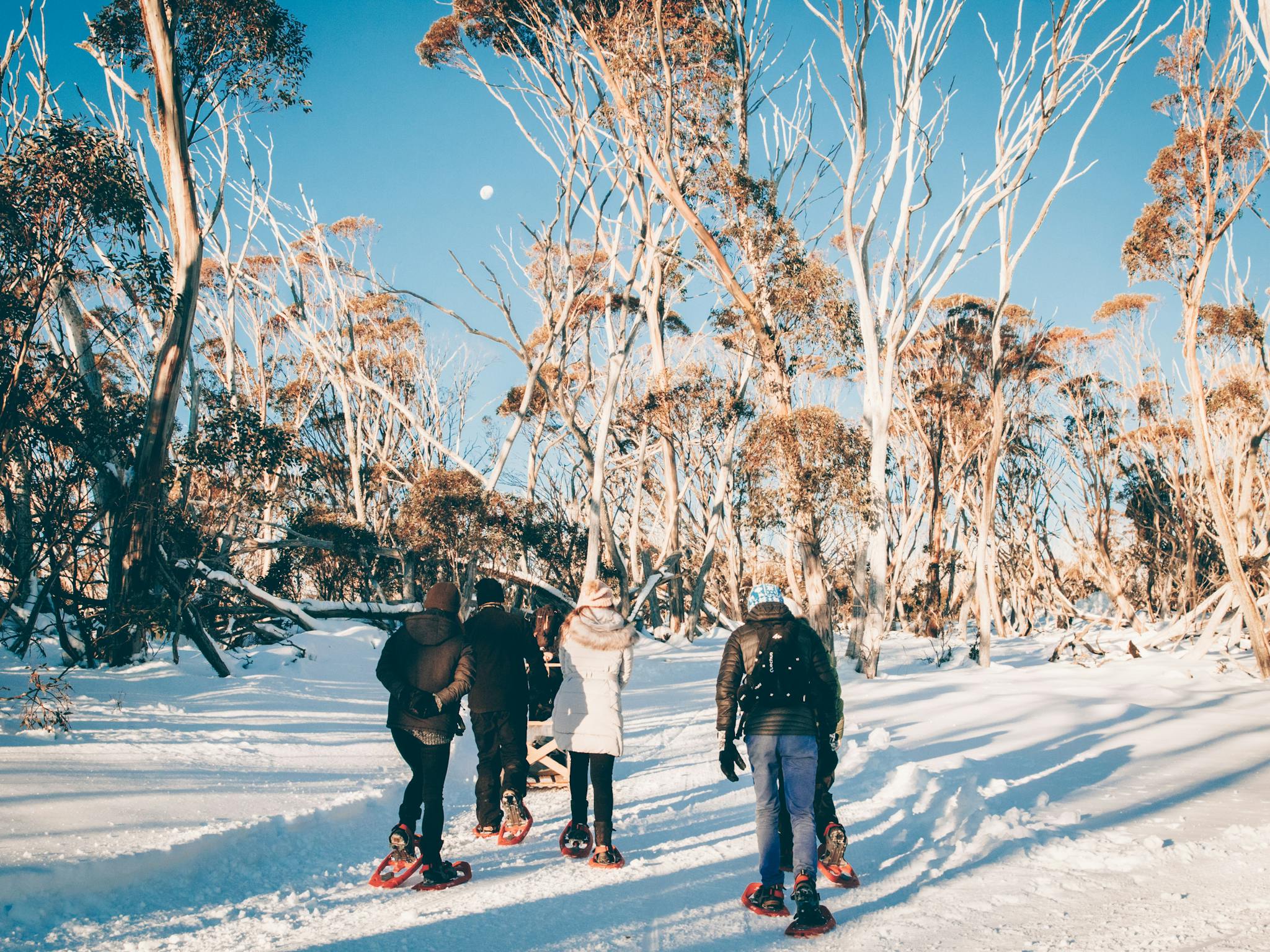 Snowshoeing to Alping Eco Village