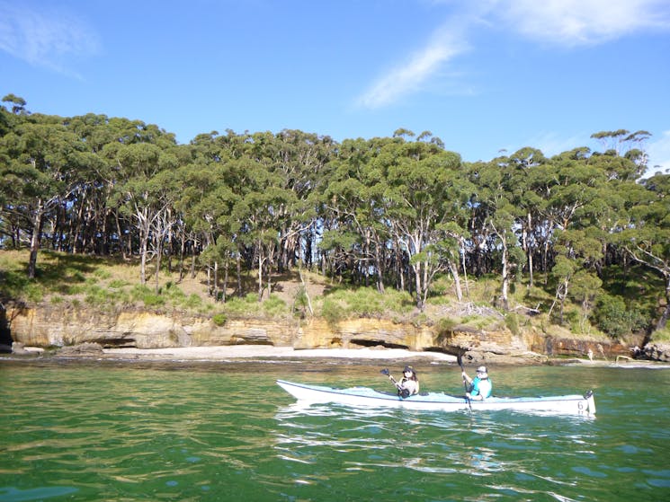 Calm water kayaking, easy kayaking tour, kayak hire,
