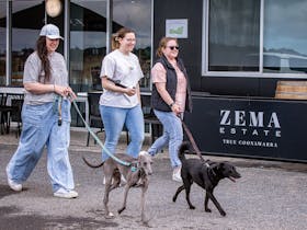 Guests visit Zema Estate with their dogs on the Coonawarra Walking Trail