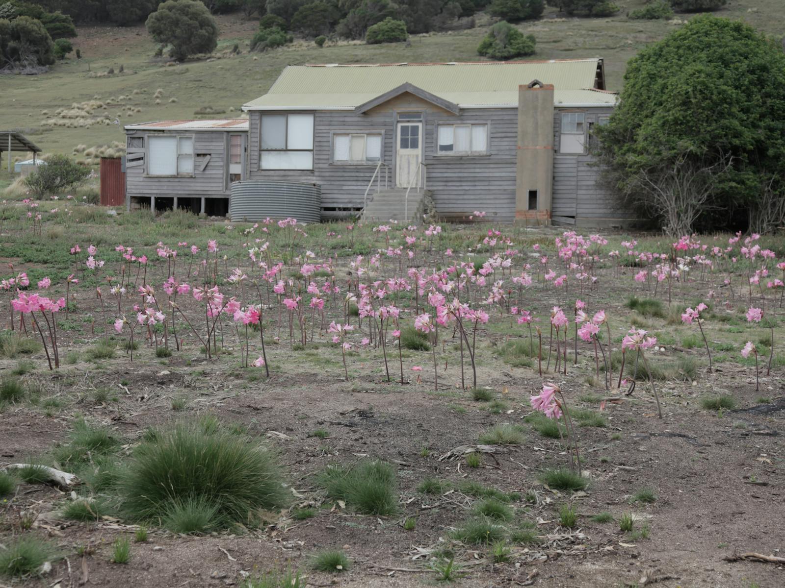 Shacks at Palana Flinders Island Tasmania