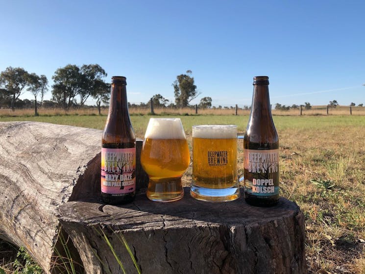 Beers from Deepwater Brewing with scenic countryside in the background
