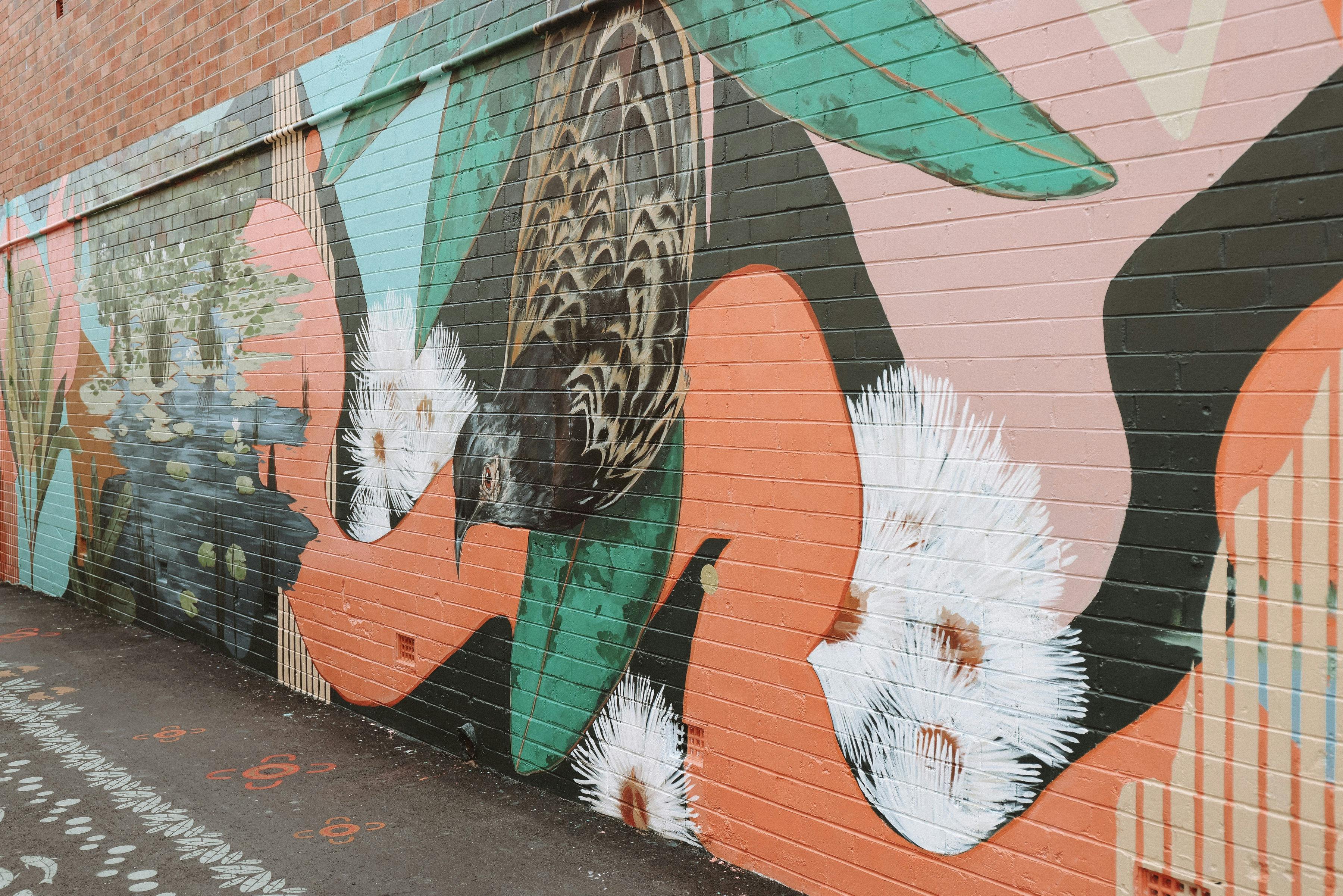 Abstracted Outline of the Macleay River Mural