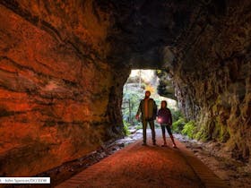 Glow Worm Tunnel