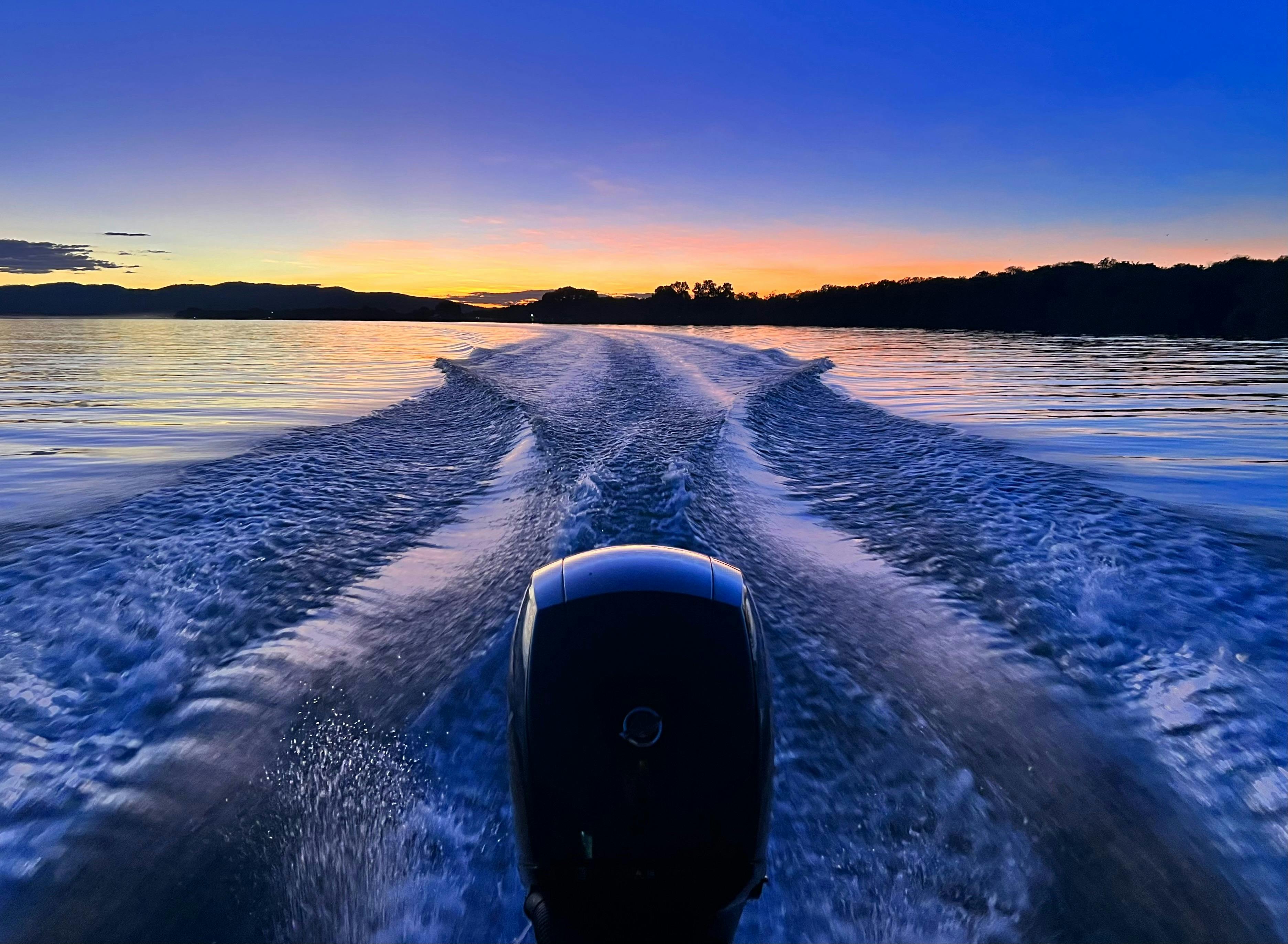Skate Park - White Gum Park