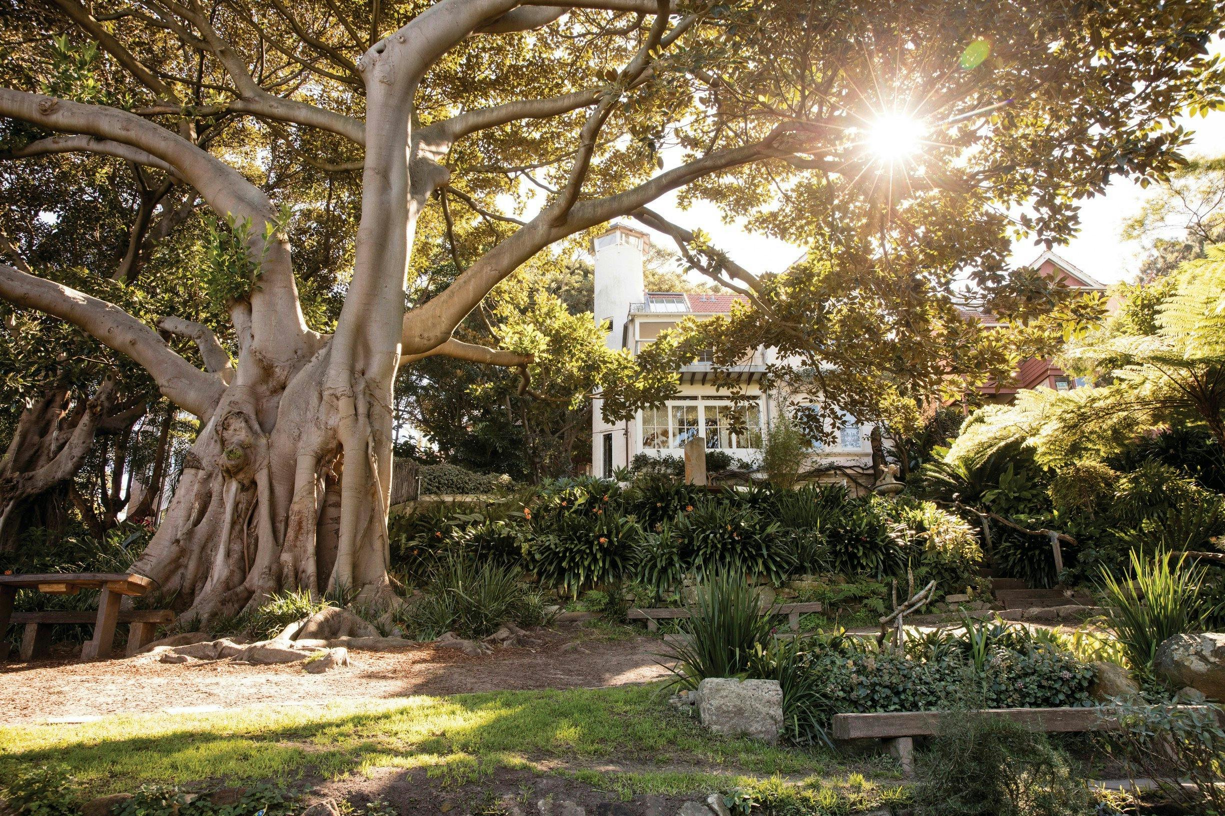 Wendy Whiteley's Secret Garden | Sydney, Australia - Official Travel ...