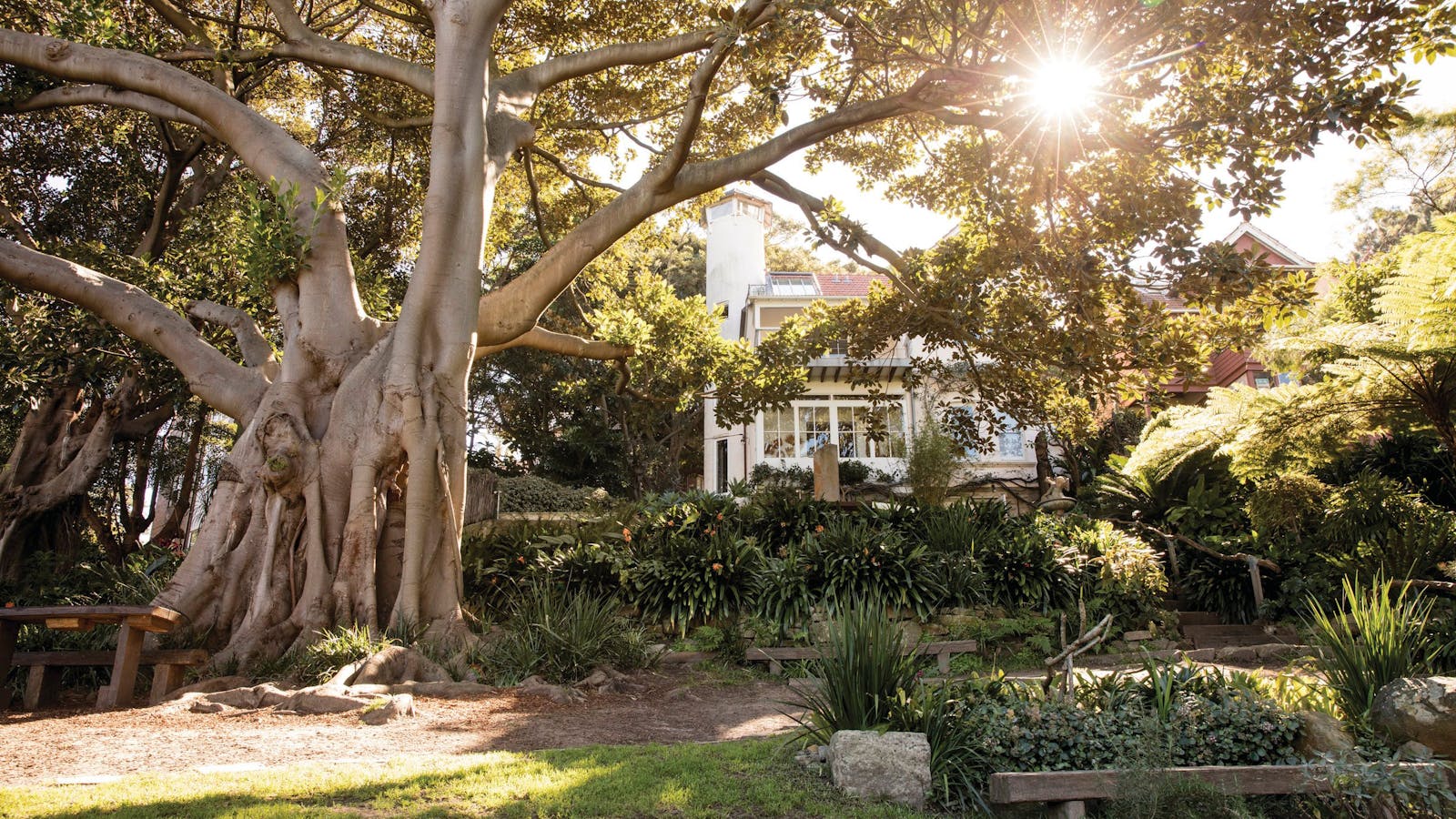 Wendy Whiteley's Secret Garden