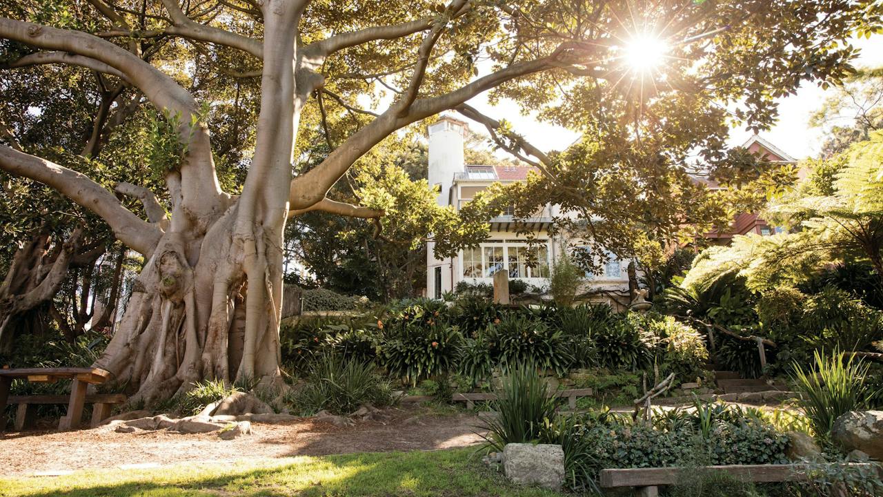 Wendy Whiteley's Secret Garden, Lavender Bay