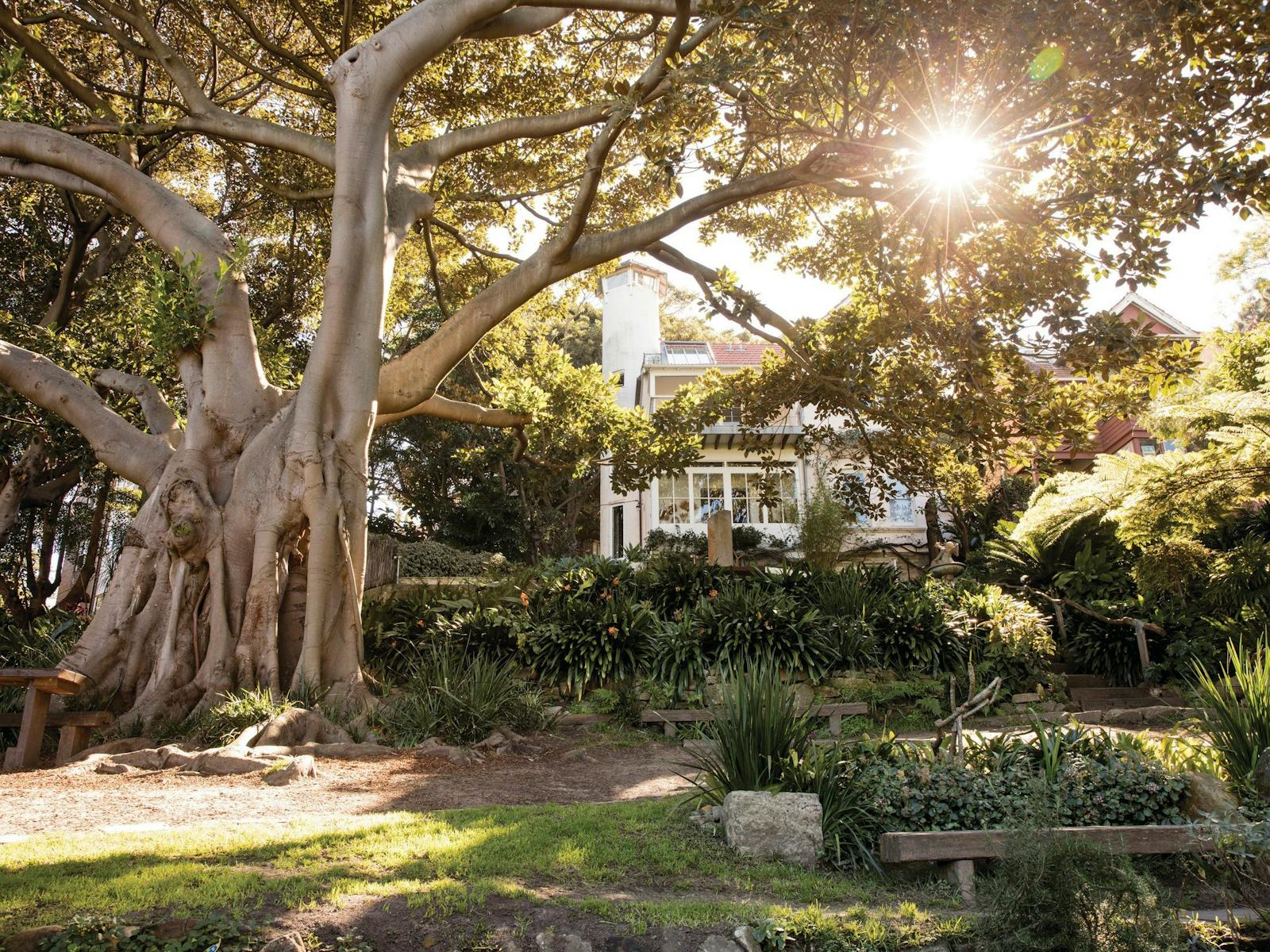 Wendy Whiteley's Secret Garden, Lavender Bay
