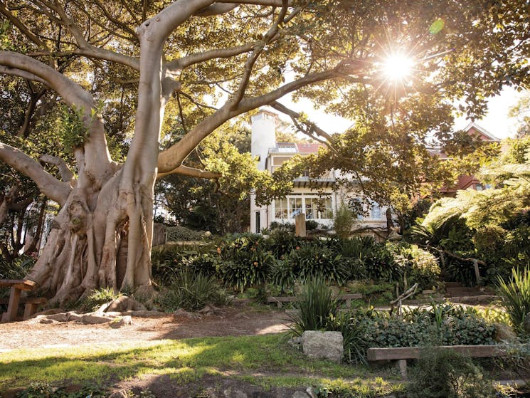 Wendy Whiteley's Secret Garden, Lavender Bay