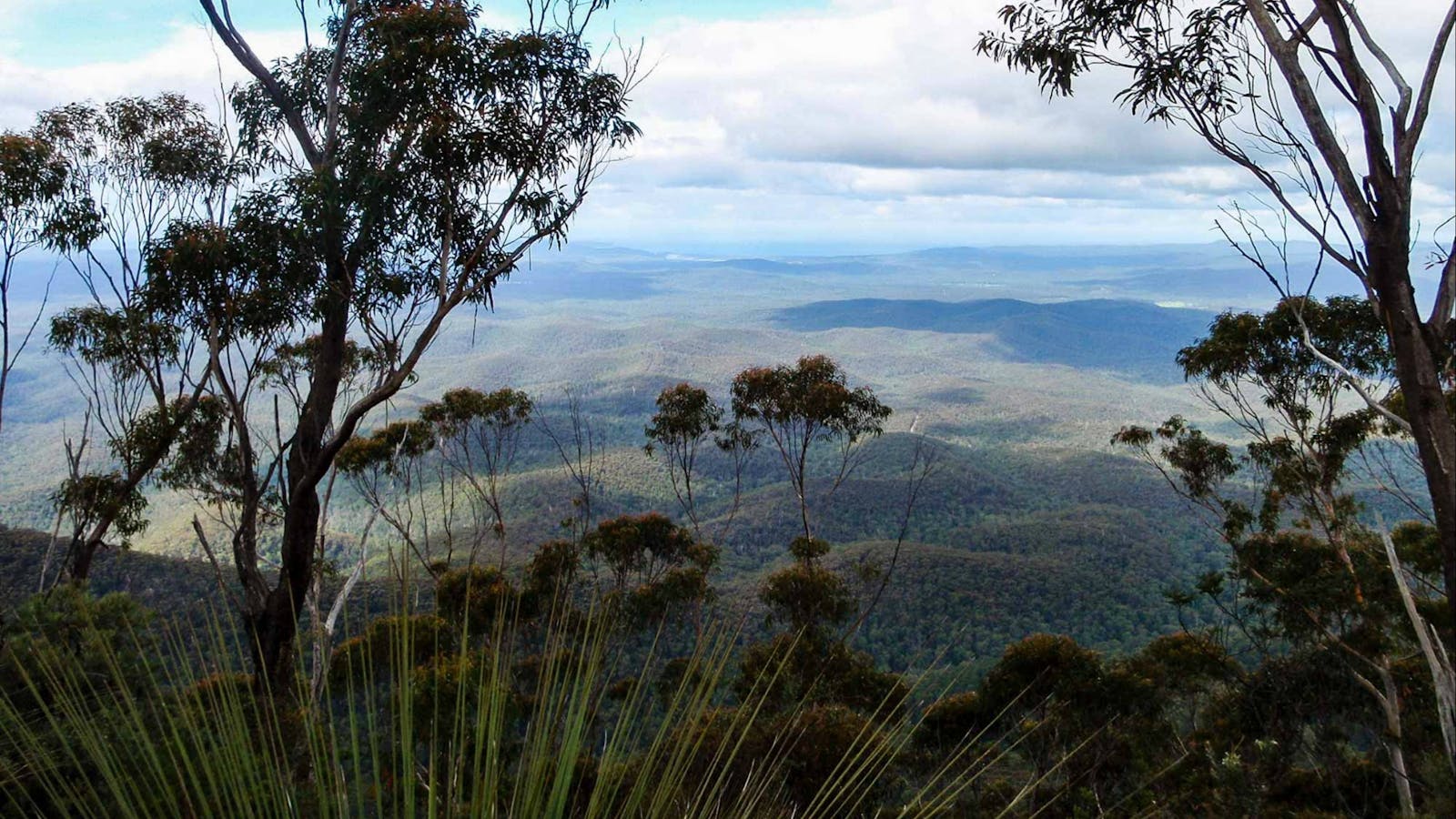 Mount Imlay Summit Walking Track