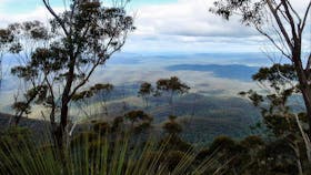 Mount Imlay Summit Walking Track