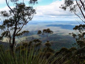 Mount Imlay Summit Walking Track