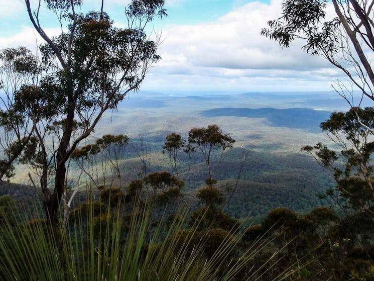 Mount Imlay National Park. Photo: NSW Government