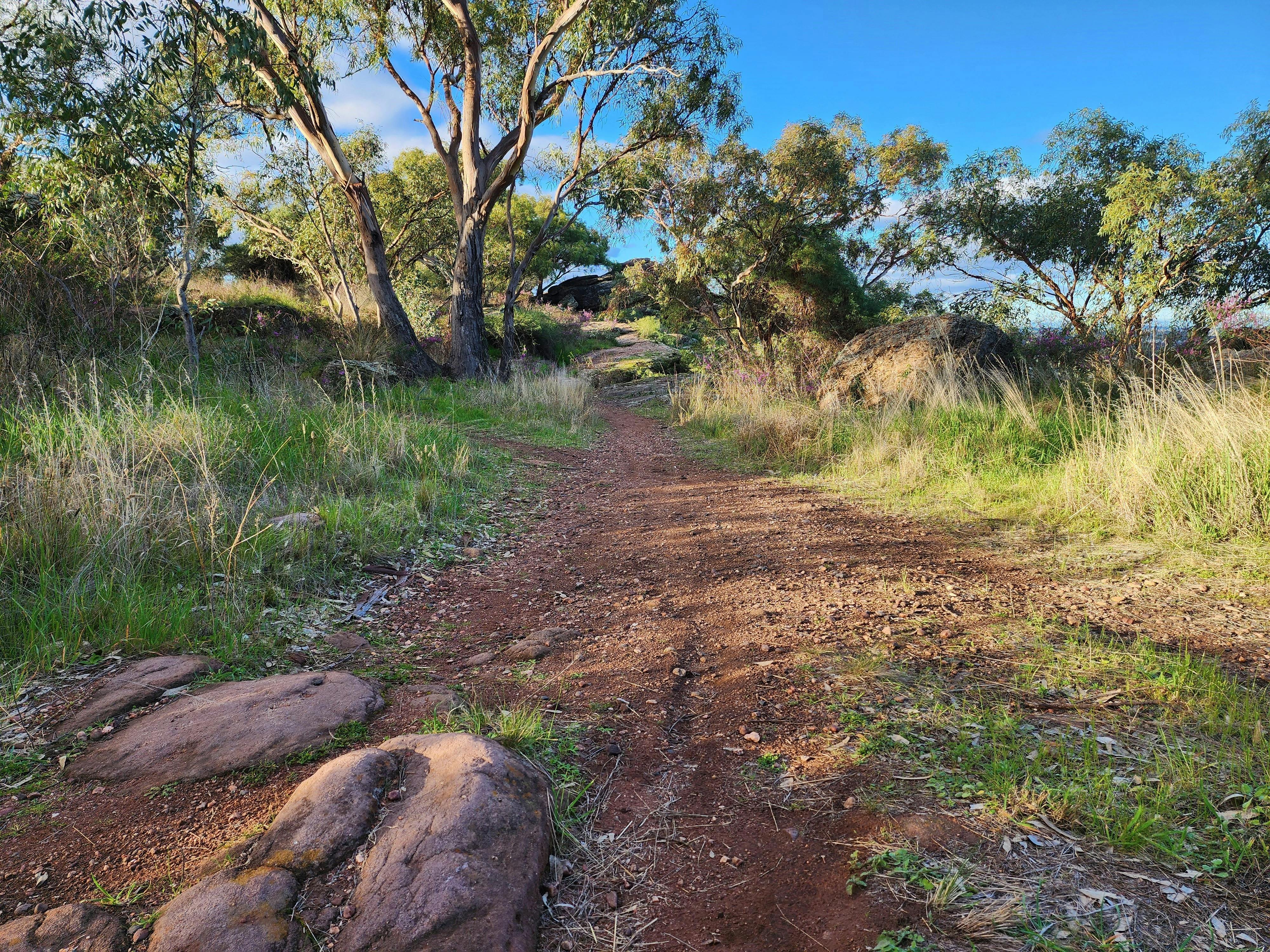 그리피스 셀프 가이드 투어