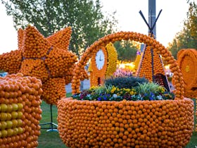 Griffith Spring Fest - Real Juice Company Citrus Sculptures Cover Image