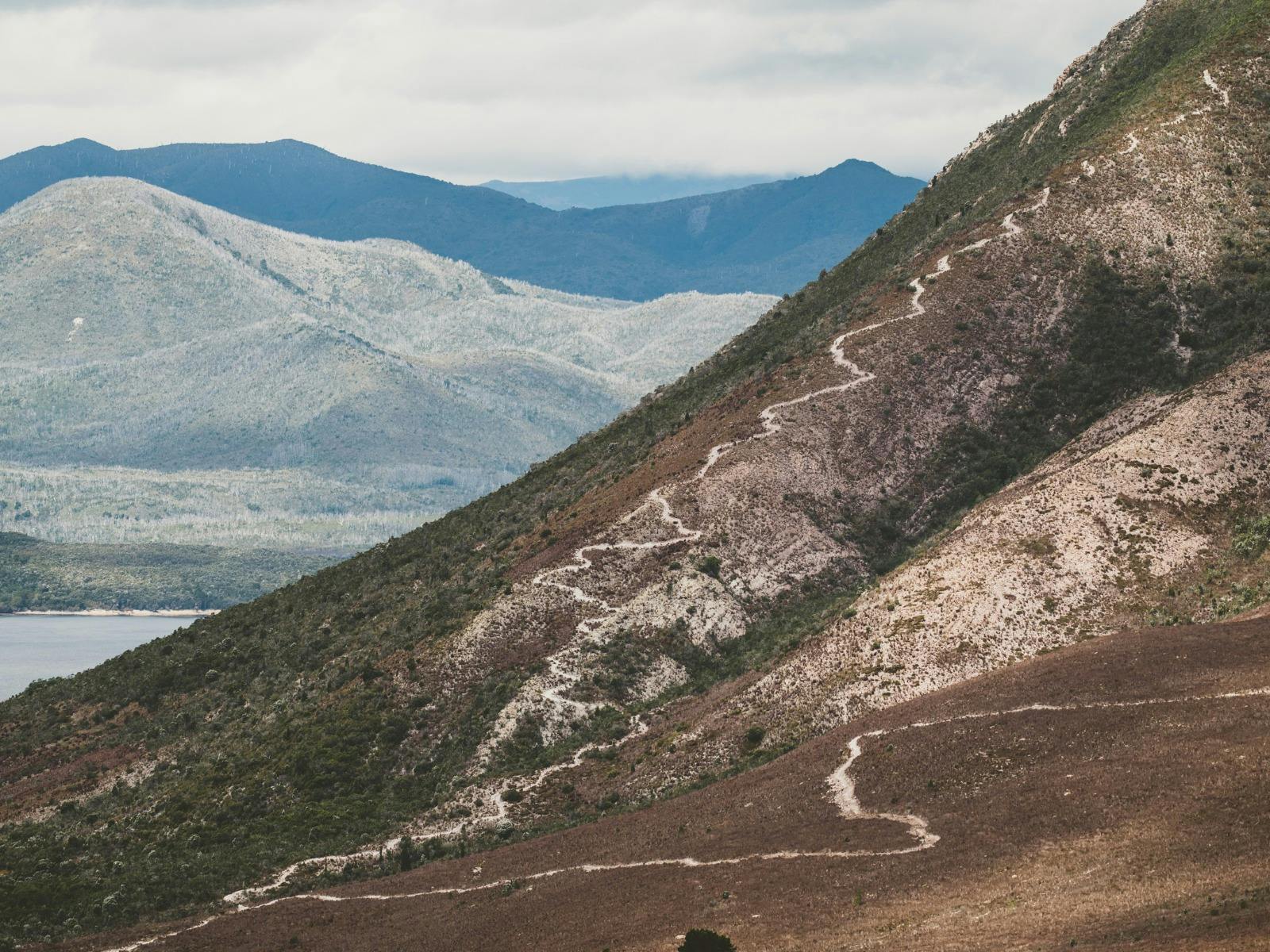 Mt Owen MTB Trail Network