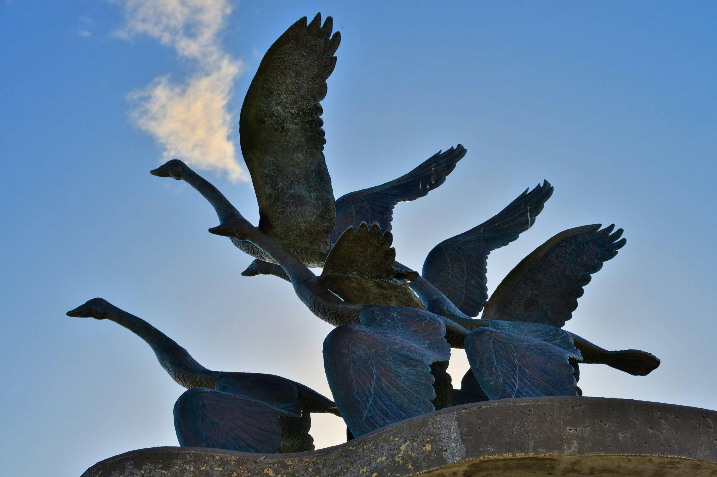 Catalpa Memorial