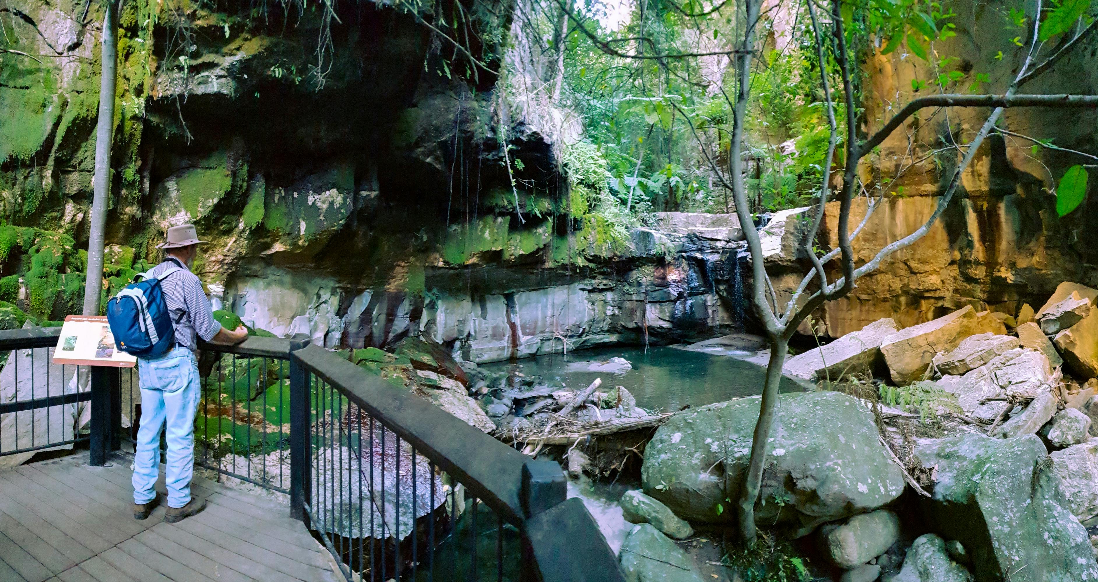 A tour guests gazes beyond the boardwalk to the Moss Garden waterfall at Carnarvon Gorge.