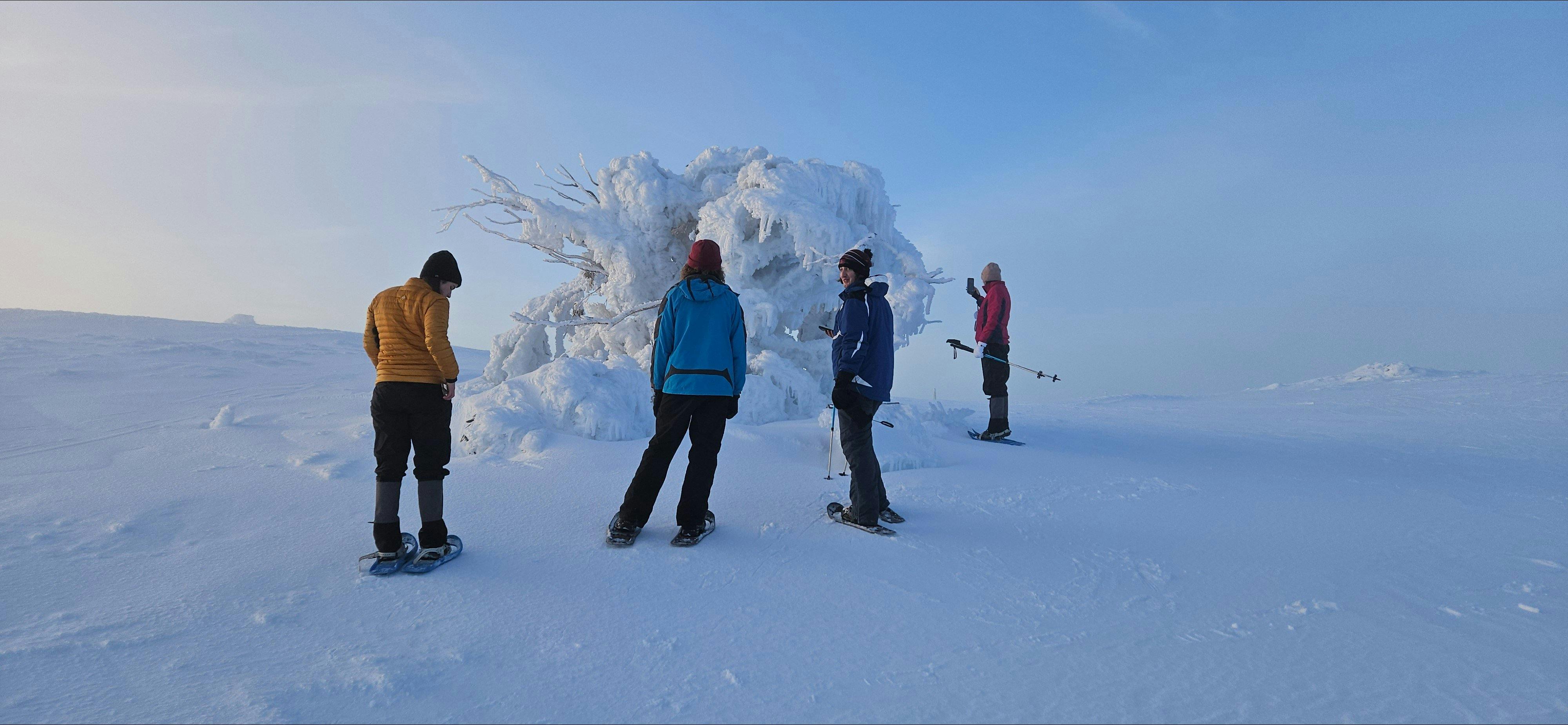 A group of hikers admiring frosted over the famous Stirling Tree