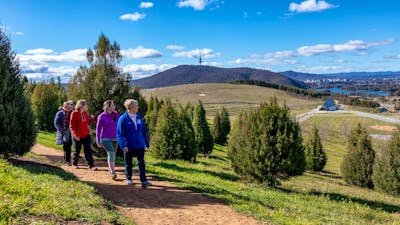 Guided walk in the forests of the Arboretum