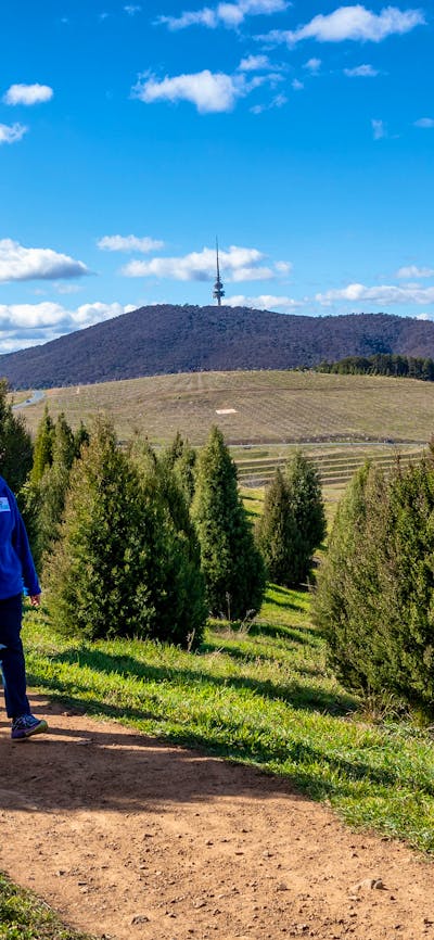 Guided walk in the forests of the Arboretum